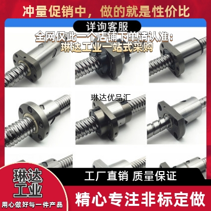 滚珠丝杆 BSST0804/1004/1204/1505/2005/2010/2505 BSSR2510