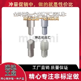 定位销SJPQB/SJPQD2 3 4 5 6 8 10-3 4 5 6 8 10 12大头球面型