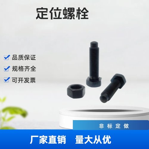 PBE21 碳钢细牙定位螺栓螺纹前端R型 STCA8/10-15/20/25/30/35/80