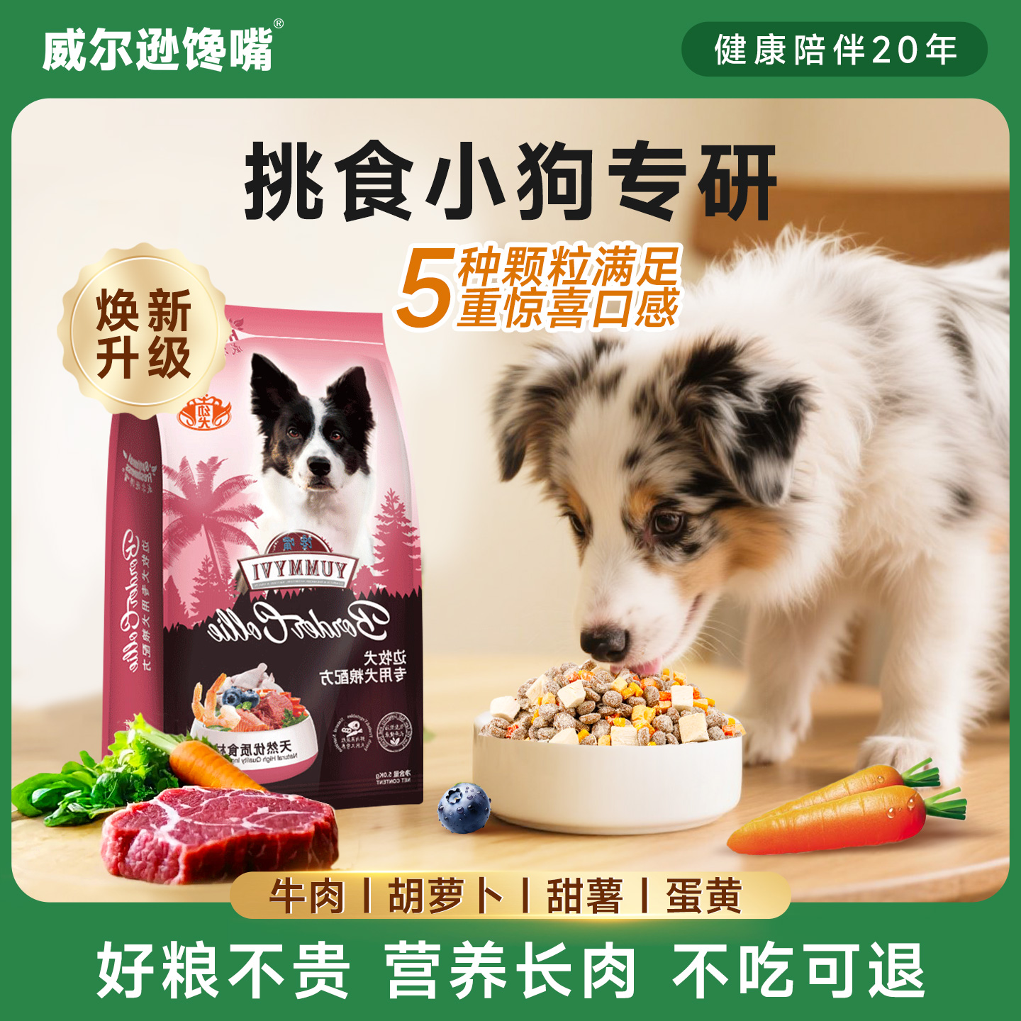 威尔逊馋嘴边牧狗粮幼犬专用30斤