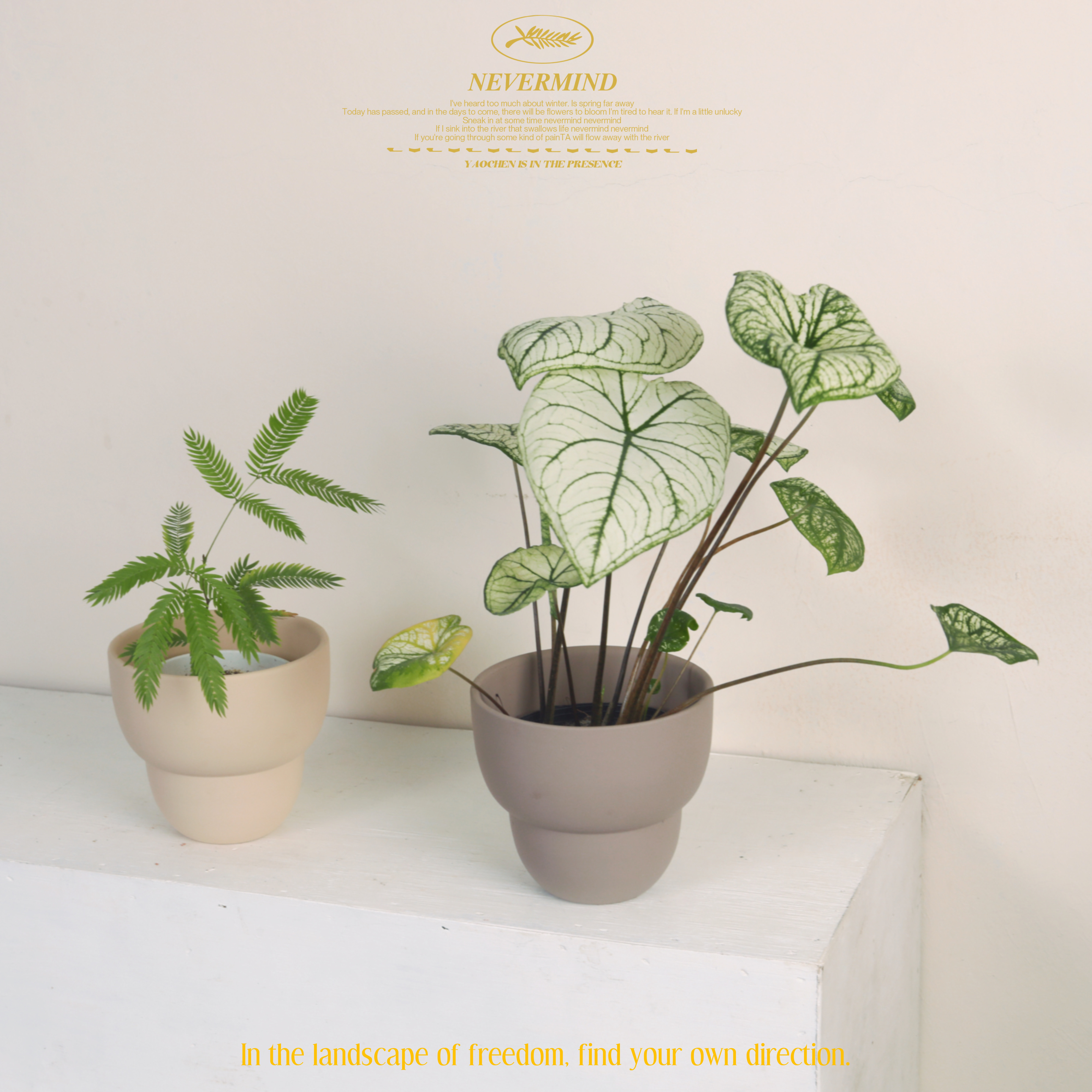 简约创意个性高脚造型红陶花盆摆件售楼处样板间多肉蝴蝶兰