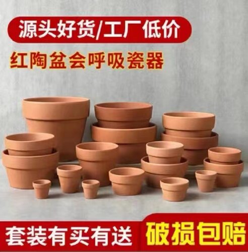 红陶简约透气吸水庭院多肉花盆