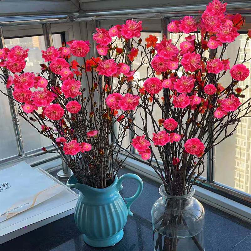 梅花干枝遇水开花水生雪柳富贵竹窗台客厅办公桌冬季水培植物花卉