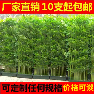 饰加密塑料假竹子隔断屏风室外人造竹仿真植物造景 仿真竹子室内装