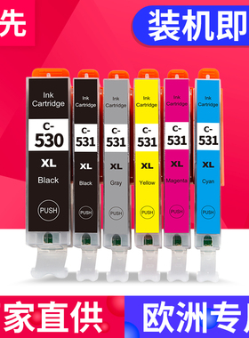 百先 适用佳能 ts8750墨盒 Canon PIXMA TS8750 TS8751打印机墨水盒 PGI-530 CLI-531黑色彩色