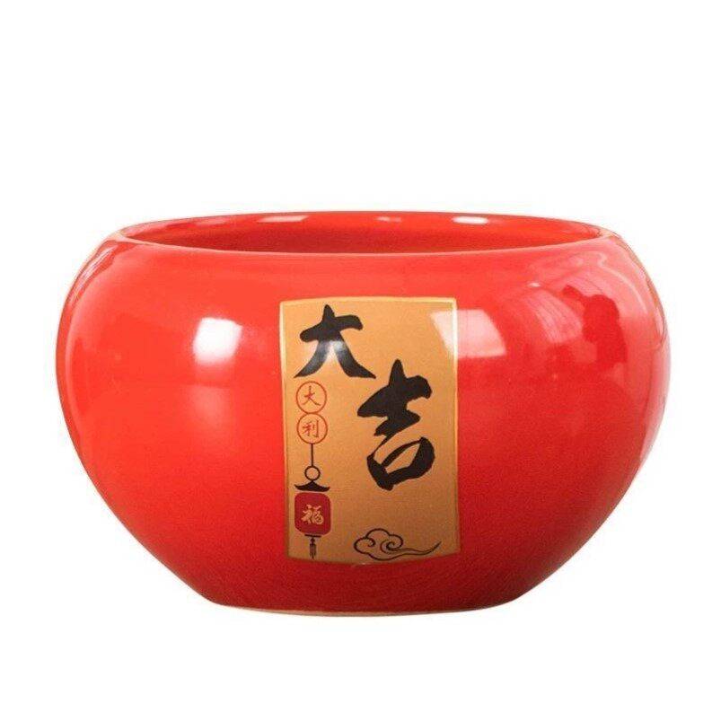蝴蝶兰花盆轻奢高级感家用花盆陶