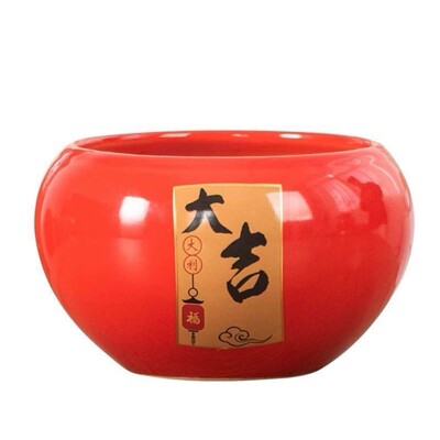 蝴蝶兰花盆轻奢高级感家用花盆陶
