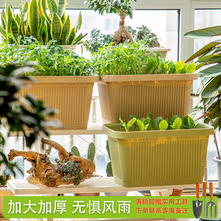 爱丽思阳台菜盆家庭蔬菜种菜盆专用箱室内长条花盆塑料种植爱丽丝