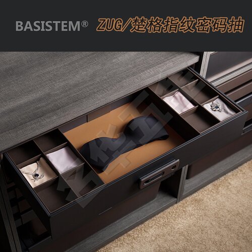 BASISTEM/巴斯蒂姆指纹密码抽