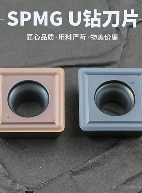 刃天下 SPMG050204DG/060204/07T308/090408-DG暴力喷水数控刀片