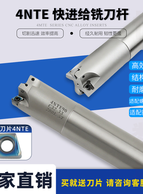 数控刀杆铣刀杆4NTE90-C16-16-120-2T双面刀片快进给铣刀杆4NKT