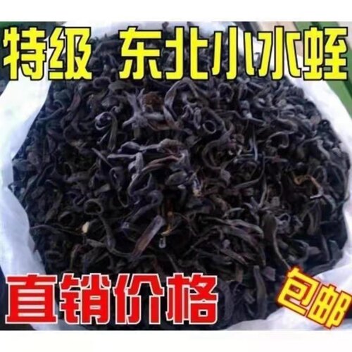 中药材水蛭蚂蝗干500克 东北小水蛭日本医蛭 清水吊杆货免费磨粉