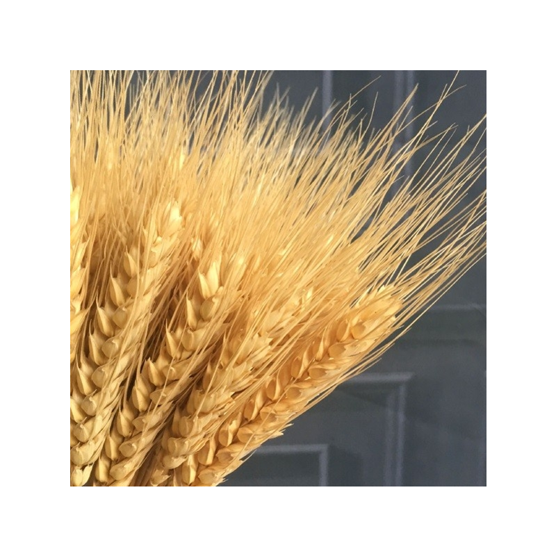 高枝大麦穗客厅干花束手工落地假花干枝插花居家新房装饰包邮仿真