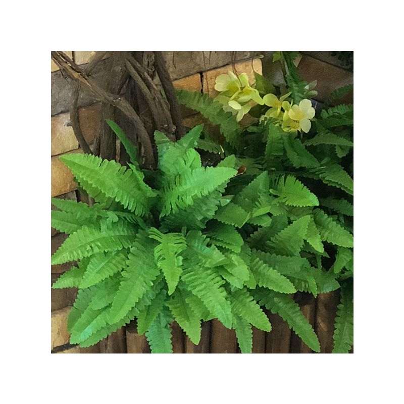 蕨类植物墙面婚庆波斯草假树叶