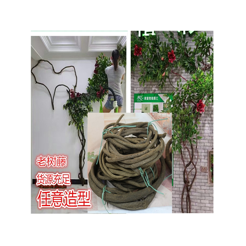 树藤枯藤门头装饰藤吊顶装饰藤加粗干树藤山藤条藤蔓墙壁装饰