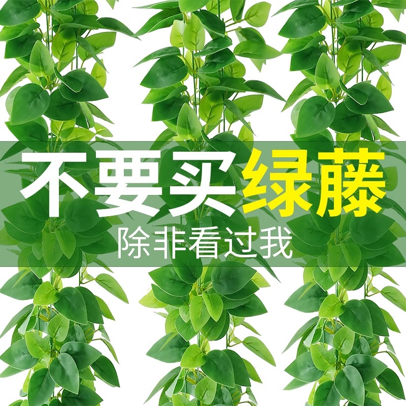 仿真绿植藤条绿萝装饰