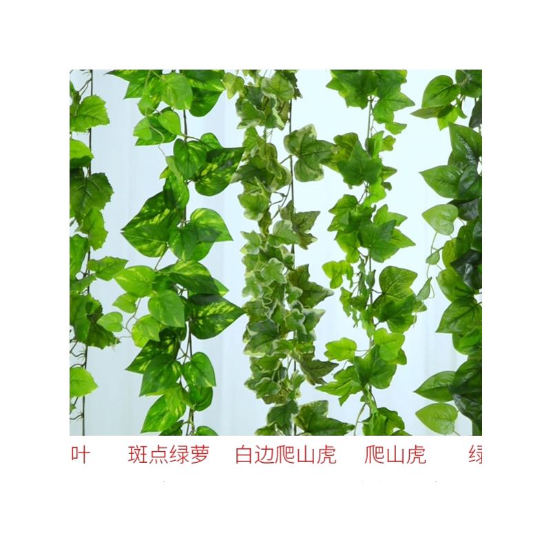 假叶子墙面缠绕仿真植物高品质