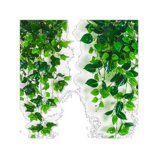 爬山虎壁挂长青仿真植物假花藤条藤蔓装饰绿植墙空调树叶吊篮绿萝