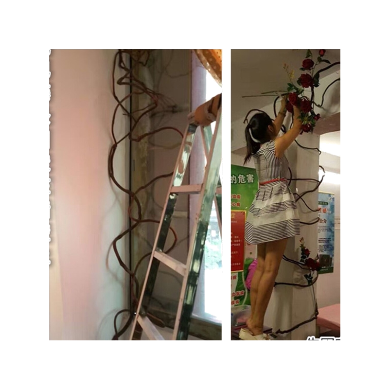 吊顶加粗墙壁枯藤