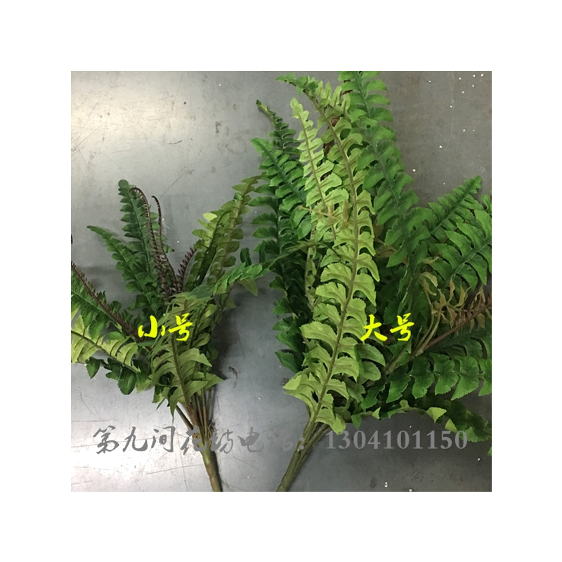 仿真波斯草肾蕨塑料植物墙新品