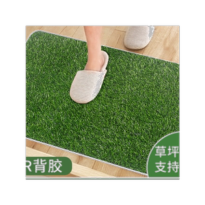 白底进门入户塑料脚垫仿真草坪