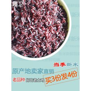 紫米墨江原产地血糯米梯田新米云南包粽子米农家老品种紫糯米500g