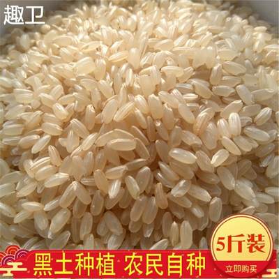 东北农家糙米5斤 糙米新米糙米饭粗粮五谷杂粮饭可发芽