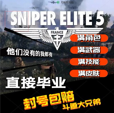 狙击精英代练Steam存档