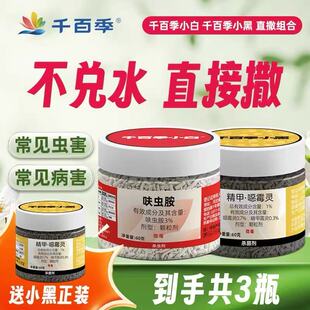 千百季呋虫胺小白药小黑药组合多肉花卉蚧壳虫蓟马防虫药根腐预防