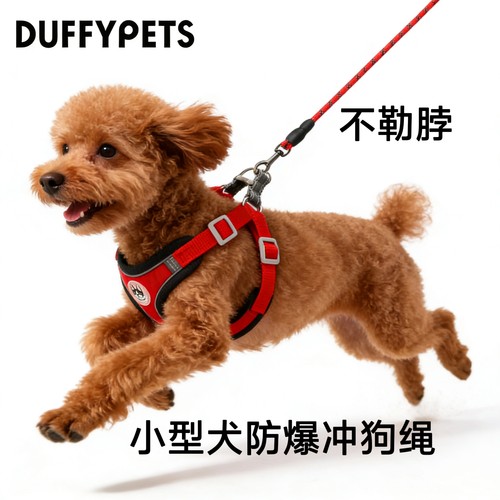 小型犬牵引绳泰迪比熊博美专用 狗狗绳子 胸背带遛狗绳