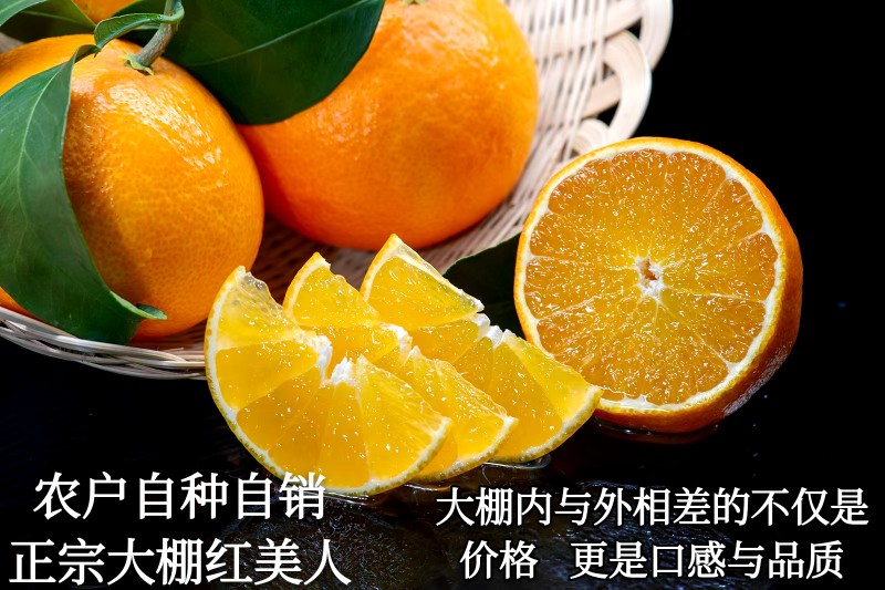 正宗浙江象山红美人现摘大棚桔子柑橘爱媛28新鲜水果6斤热卖顺丰