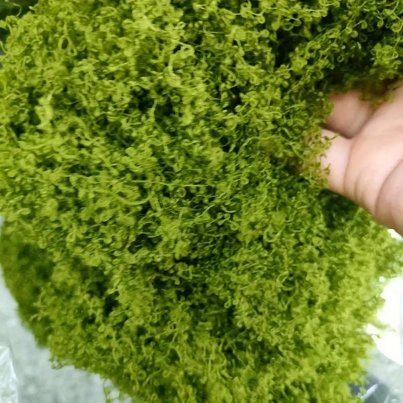 仿真苔藓青苔造景仿生假