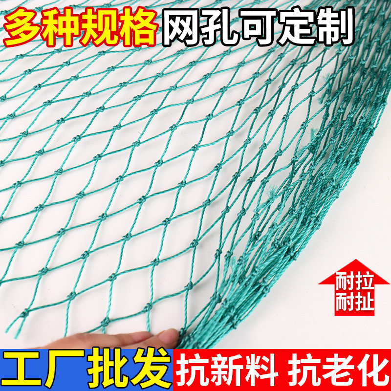 养鸡网尼龙网菜园围栏网鸡网养殖鱼大棚塘防鸟网拦鸡网隔离网顶网