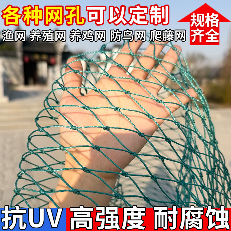 家禽塑料养鸡网养殖拦鸡鸭顶网防护网菜园围栏网尼龙网防鸟围栏网