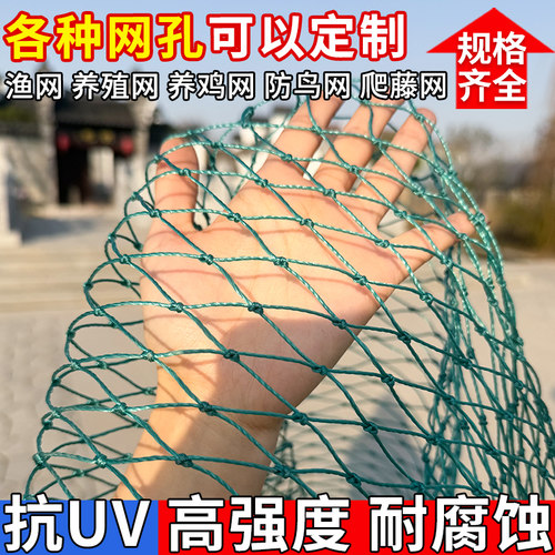 塑料养鸡网家禽养殖网拦网