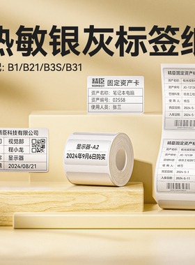 【B系列 银灰】精臣B1/B2/B21/B31/B3S/B4银灰标签打印纸热敏不干胶贴纸办公设备固定资产银色灰色哑银标签纸