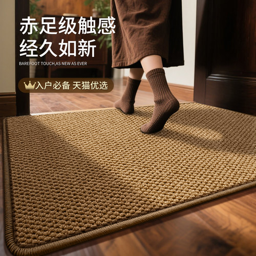 入户门地垫2025新款可裁剪地毯