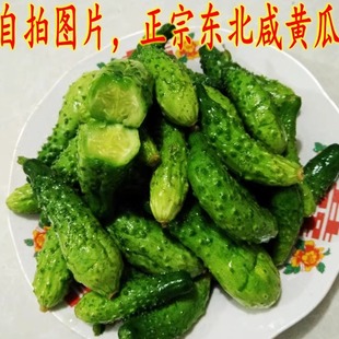 600克正宗东北腌制小咸黄瓜子小咸菜盐水黄瓜下饭菜泡菜酱菜