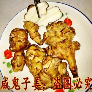 1.3斤 东北野生酱菜咸菜咸洋姜咸鬼子姜鬼头姜姜不辣咸菊芋酱咸菜