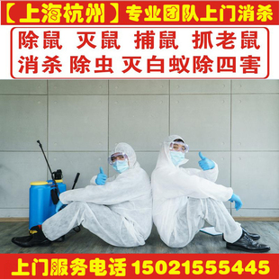 上海杭州上门除虫服务灭蟑螂杀虫公司消杀除四害灭白蚁驱跳蚤臭虫