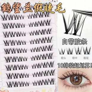 omapo鹤望兰W型假睫毛免胶分段式单簇自然斜飞仿真浓密卷翘8-11mm