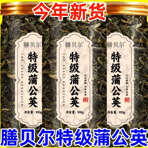蒲公英正品原生特级野生新鲜蒲公英根节去茶散结节