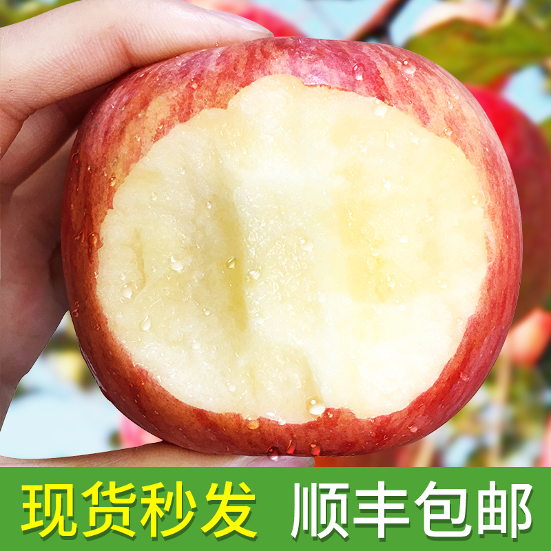 Apple, fruit, fresh, Red Fuji, 10 jin, Pingguo, Shunfeng, Baoyou, ugly apple, Zhuanglang, Gansu, crisp, sweet, Pingguo