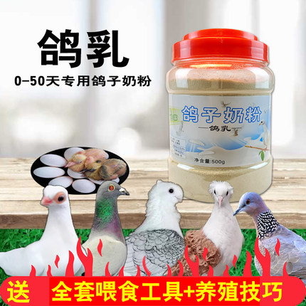 幼鸽鸽乳斑鸠饲料小鸽子专用奶粉鸽粮食种蛋受精可蛋孵化人工鸟食