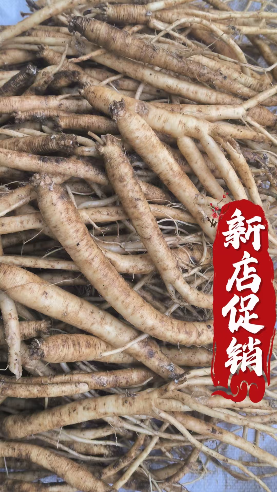 党参;自己种植自己销售的新鲜党参,滋补养生原料,属于传统补品