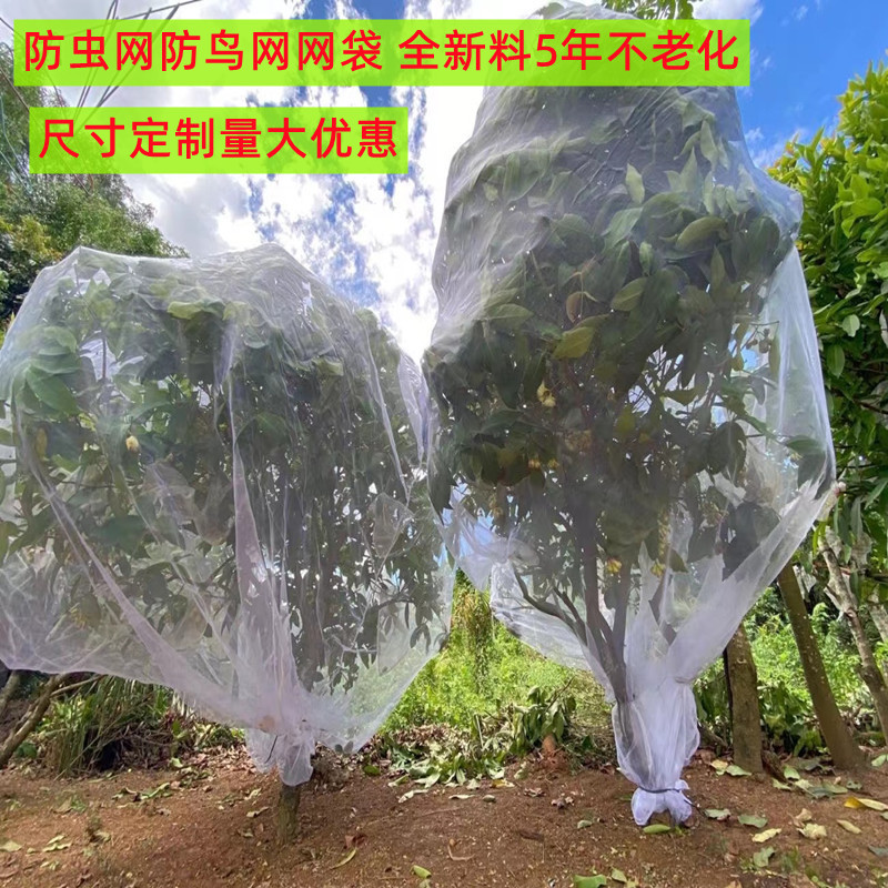 果树防虫网罩网袋莲雾樱桃蓝莓杨梅蔬菜花卉绿植防鸟防虫网抗老化