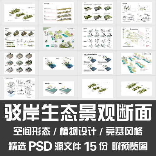 驳岸生态景观断面设计滨水修复竞赛分析图植物空间形态PSD源文件