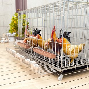 鸡笼子家用养鸡笼大号特大号自动清粪折叠养殖笼鸡舍铁丝网鸭鹅笼