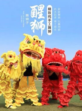 舞龙舞狮道具整套舞狮子佛山舞狮醒狮用品南狮醒狮头成人全套双人