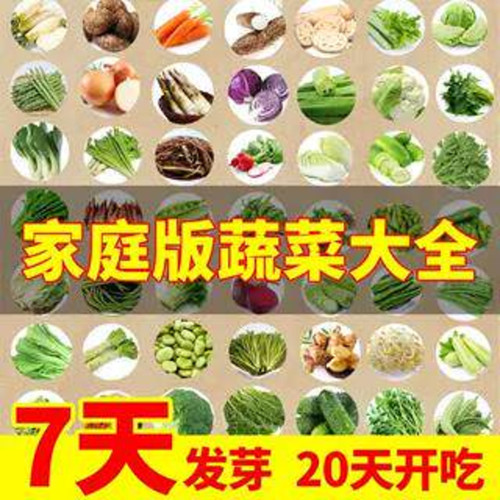 蔬菜种子四季播家庭阳台盆栽庭院易种植番茄黄瓜辣椒西瓜籽孑大全